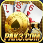 Pak3 game