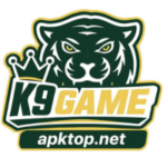 k9 Game